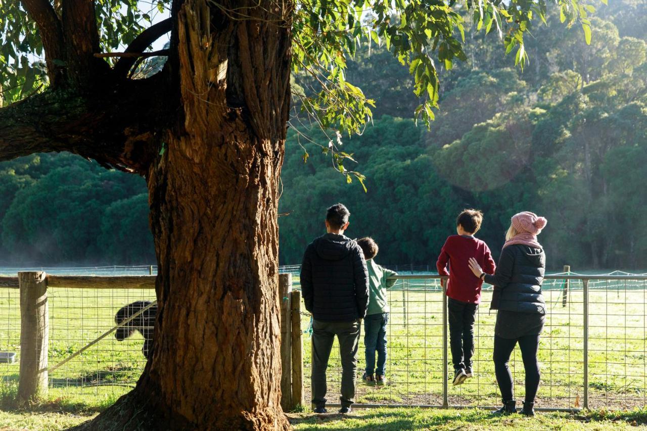 Rac Karri Valley Resort Pemberton Buitenkant foto
