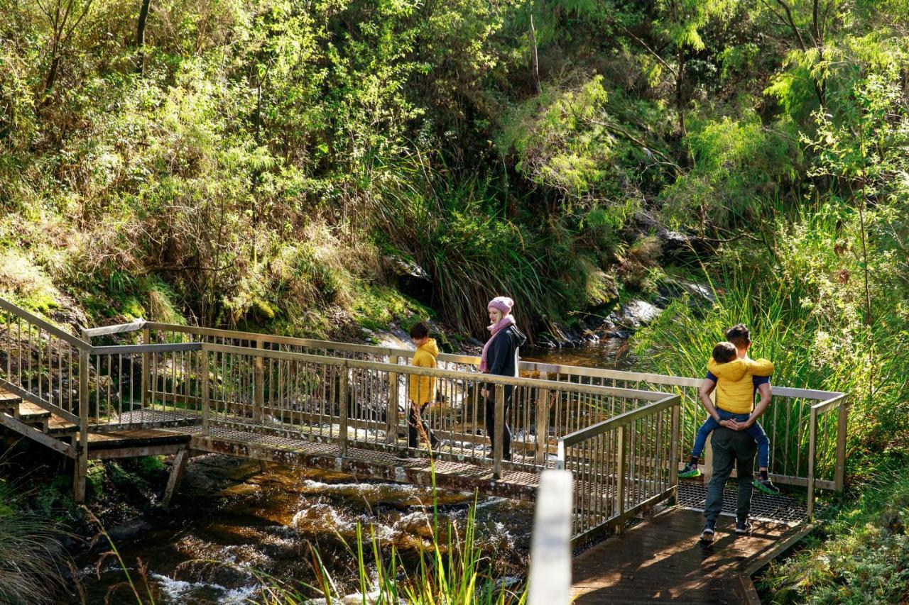 Rac Karri Valley Resort Pemberton Buitenkant foto
